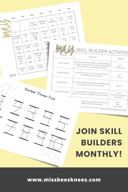 An invitation to the type of activities you can download for free if you join the skill builders monthly email list!